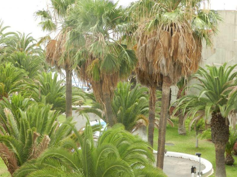 Beach-Front Tenerife Sth Sea And Pool View Costa Del Silencio Esterno foto